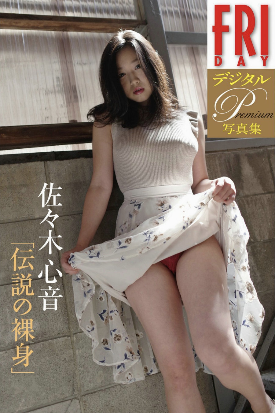 佐々木心音 伝説の裸身 [34P18MB]-优选资源网