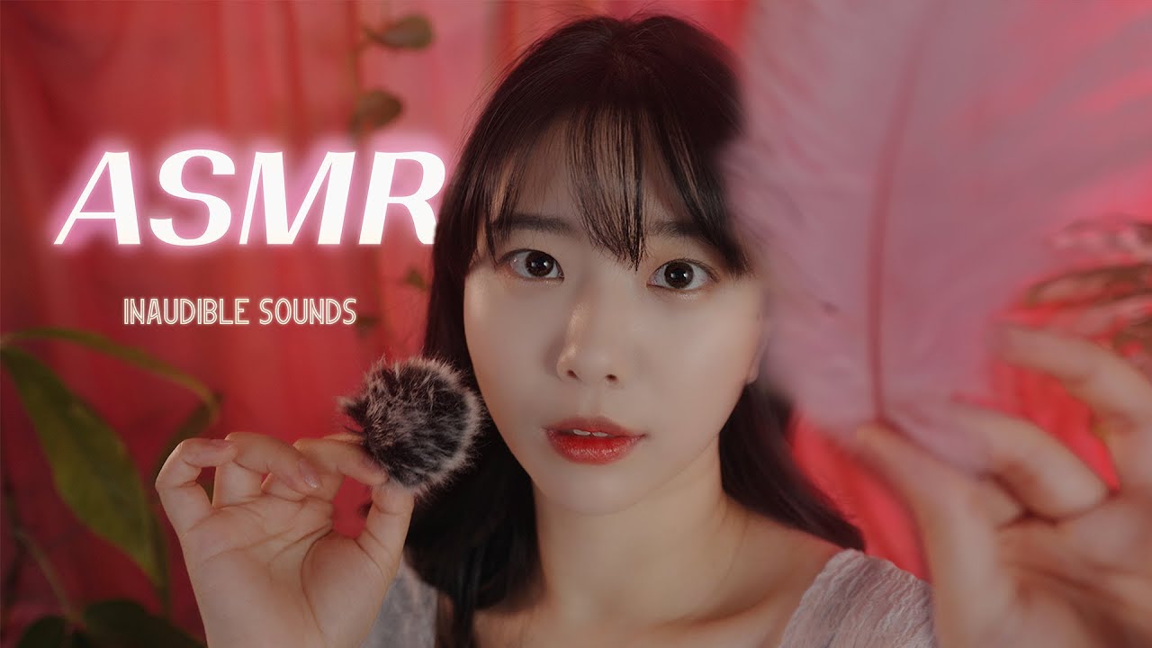 [Suna]刷子视觉触发与模糊的口腔音，带你享受视觉与听觉的双重刺激-ASMR Suna 꿀꿀선아-优选资源网