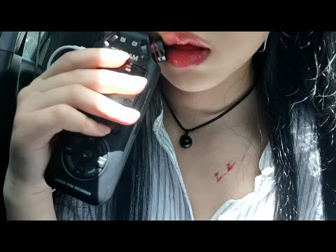 [ZZ]美女姐姐在车内录制的口腔音|吃耳朵-迷路的番茄-优选资源网