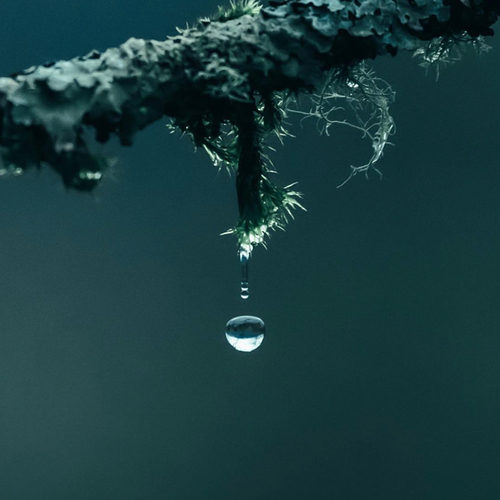 「夏末」微雨滴-白噪音频道-优选资源网