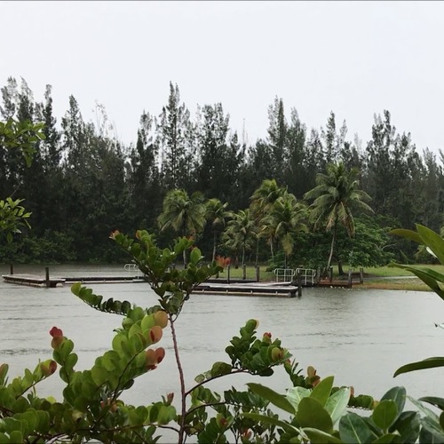 寒冷湖边的下雨声-白噪音频道-优选资源网
