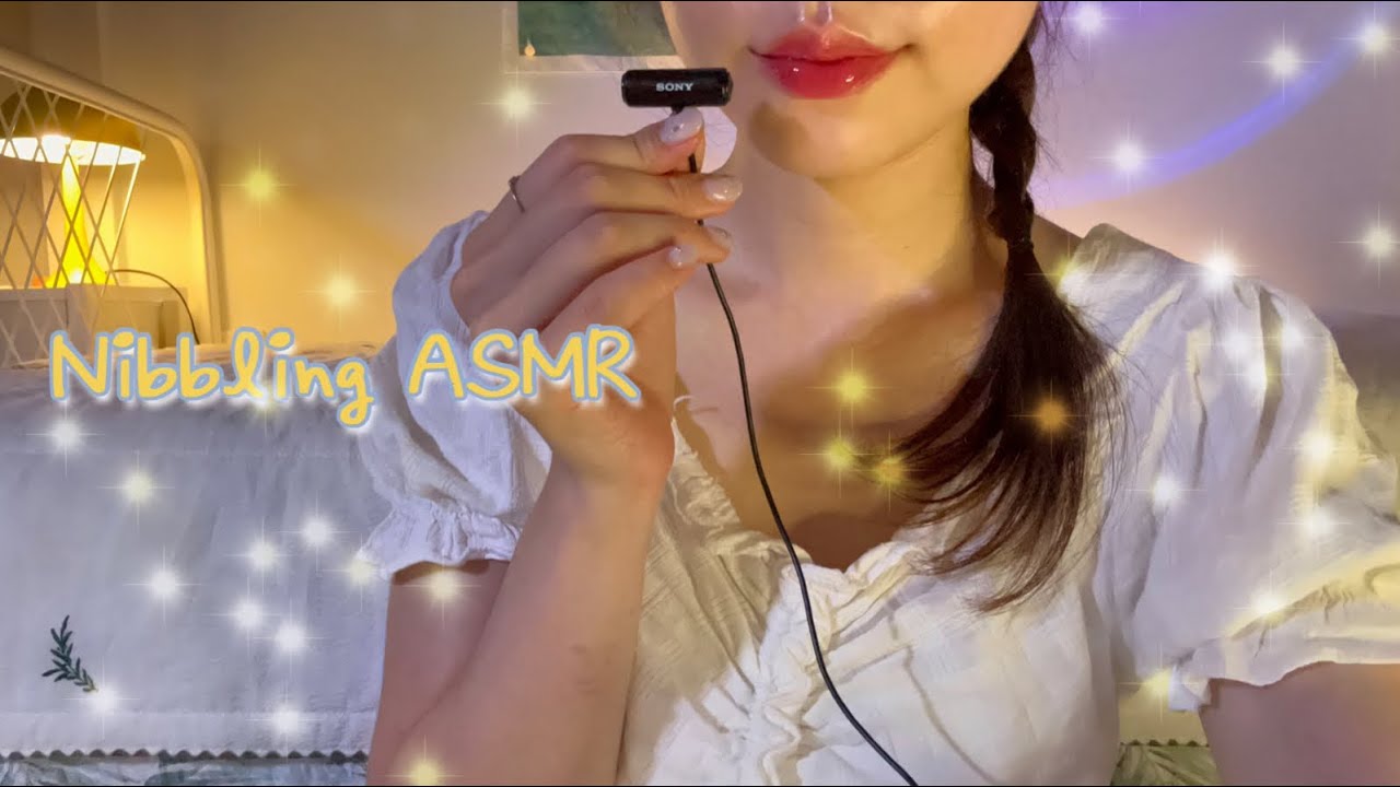 [쉼 SHIM]温柔口腔音疗愈，带你进入甜美梦乡-迷路的番茄-优选资源网