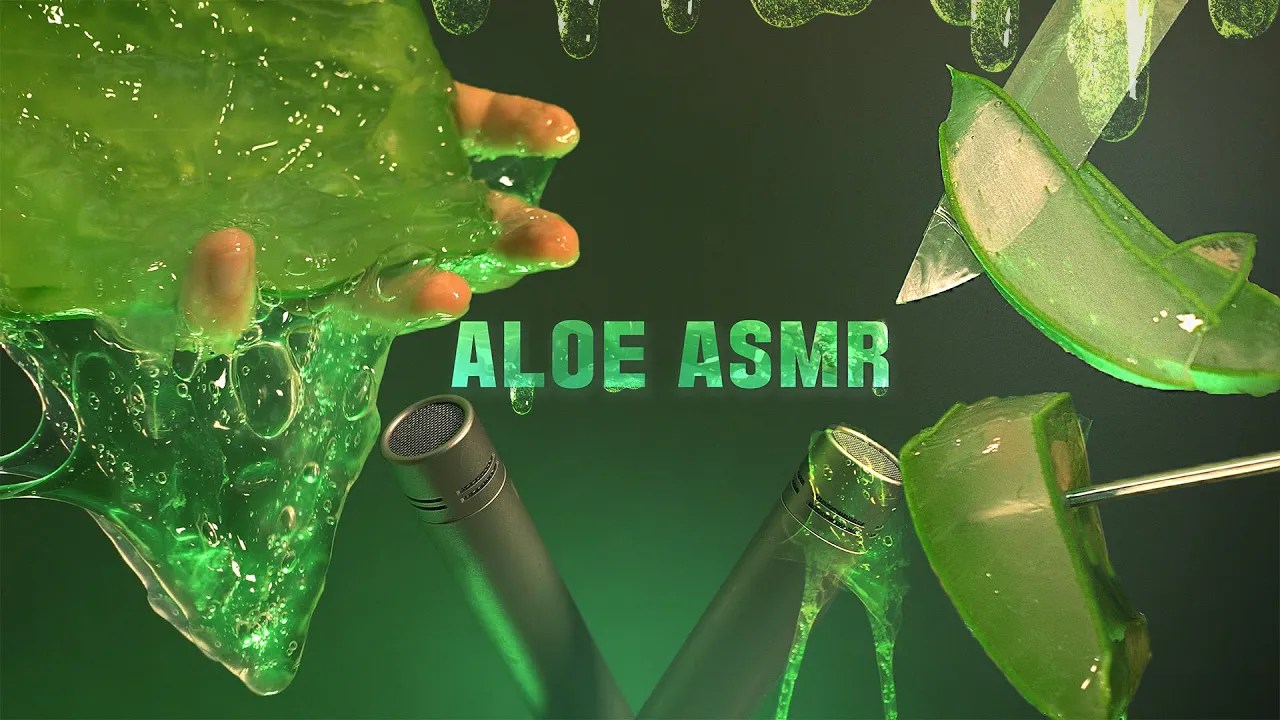 [Suna]芦荟按摩|芦荟切片|ASMR免疫|无人声-ASMR Suna 꿀꿀선아-优选资源网