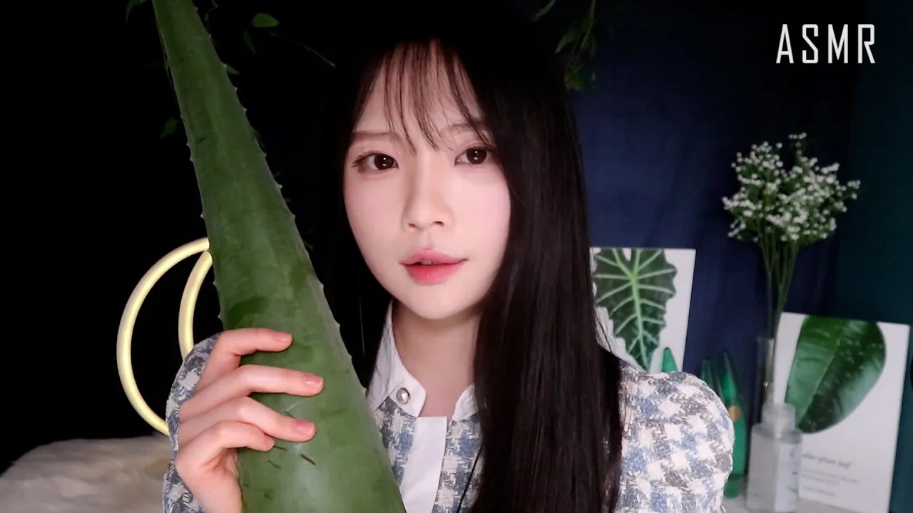 [nara]欢迎光临芦荟护肤品商店|脸部护理|角色扮演-ASMR nara-优选资源网