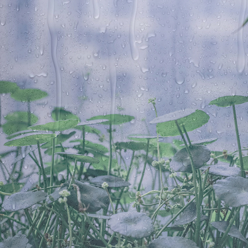 下雨天|雨中漫步|踩水|雷鸣-白噪音频道-优选资源网