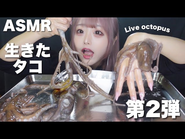 [神乐]期待已久的吃活章鱼の咀嚼音-神乐日菜子-优选资源网
