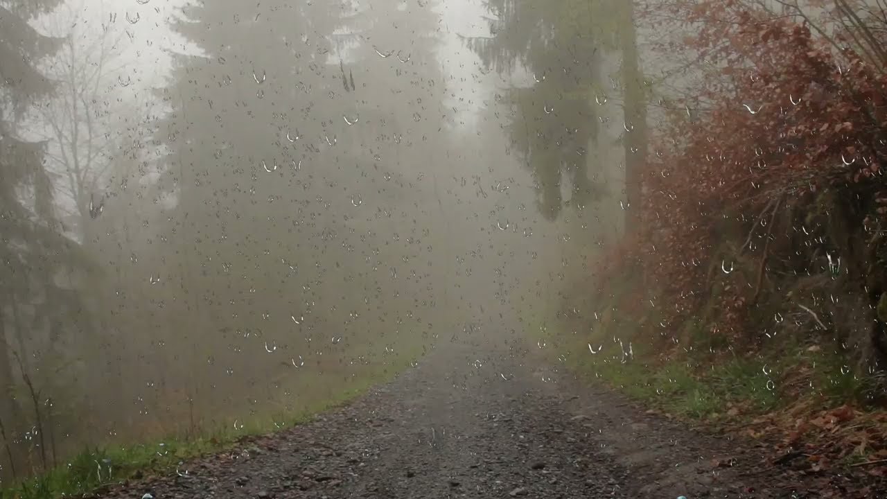 [白噪音]伴随着雷声和雨声入睡，对有失眠症和睡眠障碍的人有放松作用-白噪音频道-优选资源网